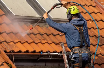 Démoussage et hydrofuge de toiture à Pinas